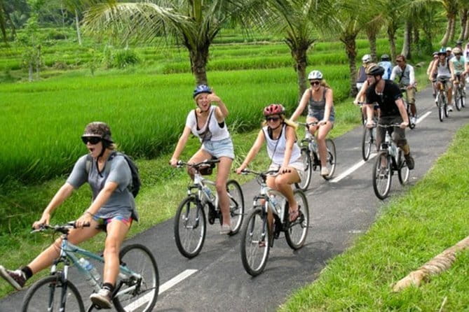 Halo Bike Cycling Tour Downhill - The Bike Ride: 90% Downhill, Back Roads, and Real Daily Life