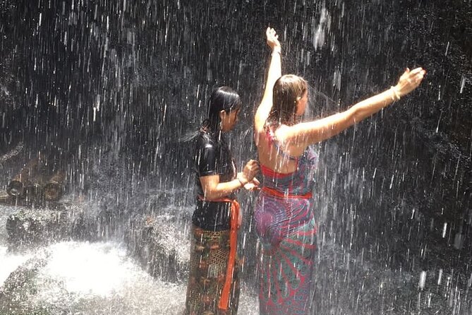 Healing and Purifications Tour in Bali - Private Seminyak logistics: comfort and control
