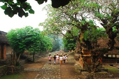 Heaven Gate East Bali Tour - Price and Logistics: The Real Value Math