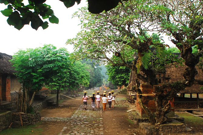 Heaven Gate East Bali Tour - Price and Logistics: The Real Value Math