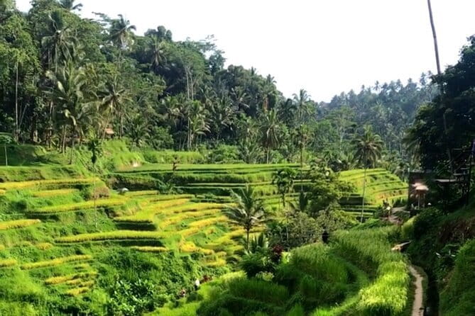 Heaven Gate, Tirtagangga and Tukad Cepung Waterfall - All Inclusive - Your driver-guide matters: Teo’s patient, local approach