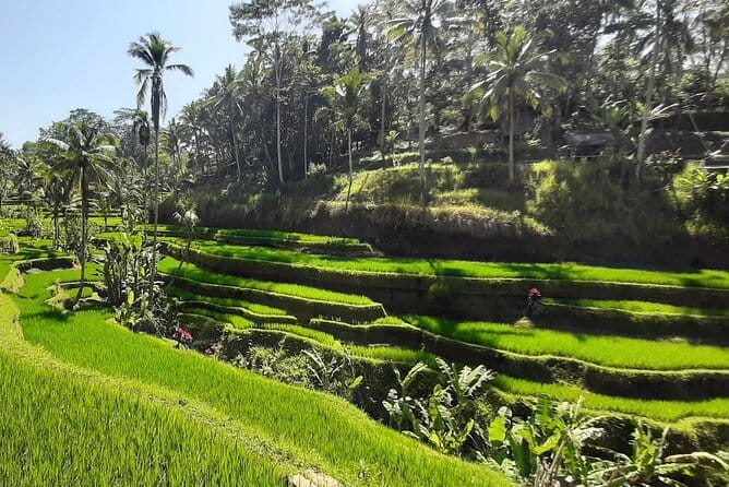 Heaven Gate, Tirtagangga and Tukad Cepung Waterfall - All Inclusive - The road time: a private day trip that’s efficient, not rushed