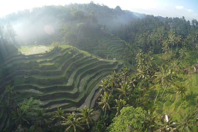 Hidden North Waterfall Bali All inclusive - Stop 4: Munduk Waterfall for Mist, Coffee Plantations, and Cooling Off