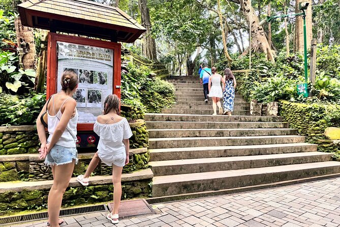 Hidden Ubud: Waterfalls & Sacred Temples - Tegenungan (or Ulun Petanu) Waterfall: Jungle Cooling Break