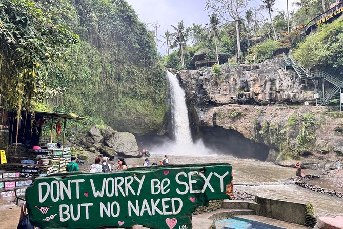 Hidden Ubud: Waterfalls & Sacred Temples - Art Village Stops: Wood Carving, Painting, and Silver Workshops