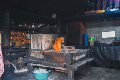 Highlight of Bali Tour - Gedong Arca Archaeological Museum: Stone Relics and Ancient Burial Art