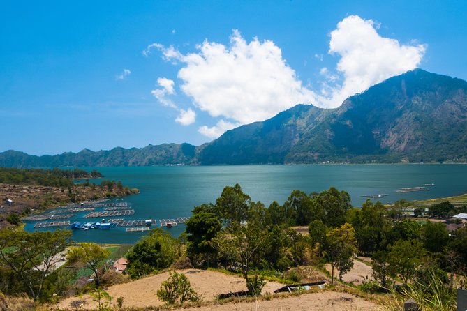Highlights of Ubud & Mount Batur Volcano - Private Day Trip - Tegalalang Rice Terraces: A Short Walk With UNESCO-Level Scenery