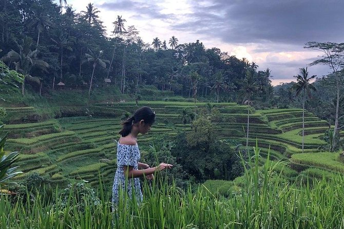 Hire Bali Driver for 10-hour (Bali as You Please) - East Bali daybreak: Lempuyang Gate of Heaven and Tirta Gangga