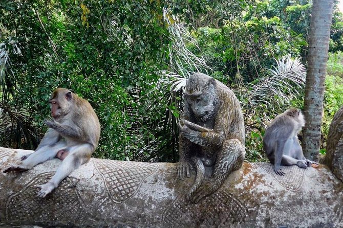 Hire Bali Driver for 10-hour (Bali as You Please) - Iconic gates and UNESCO terraces: Handara, Wanagiri, and Jatiluwih