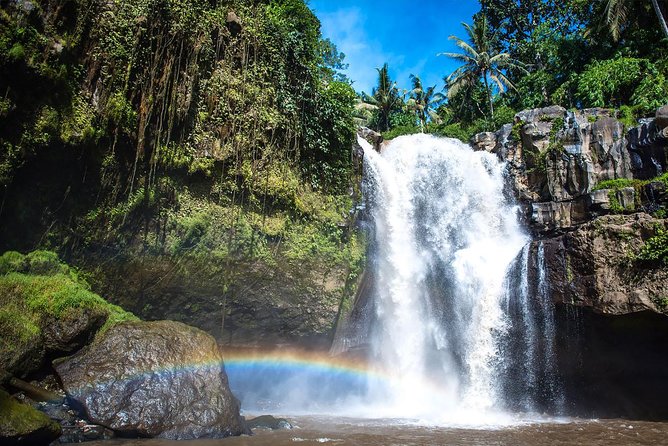 Hire Private Bali Driver - Group Size: Small Enough for Your Plan, Big Enough for Friends