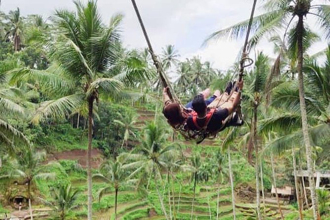 Hire Private Bali Driver - Driver Quality: Why the Reviews Keep Pointing to the Same Things