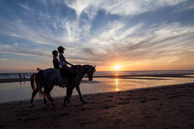 Horse Riding on the Black Sand Beach and Free Hotel Transfers - Key things that make this ride worth your time