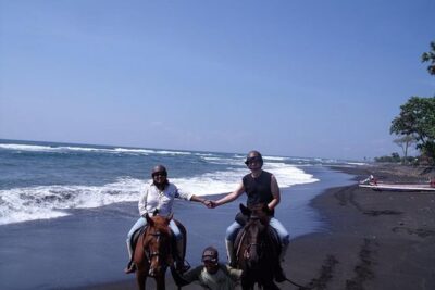 Horse Riding on the Black Sand Beach and Free Hotel Transfers - Price and what you’re really paying for ($74 value check)