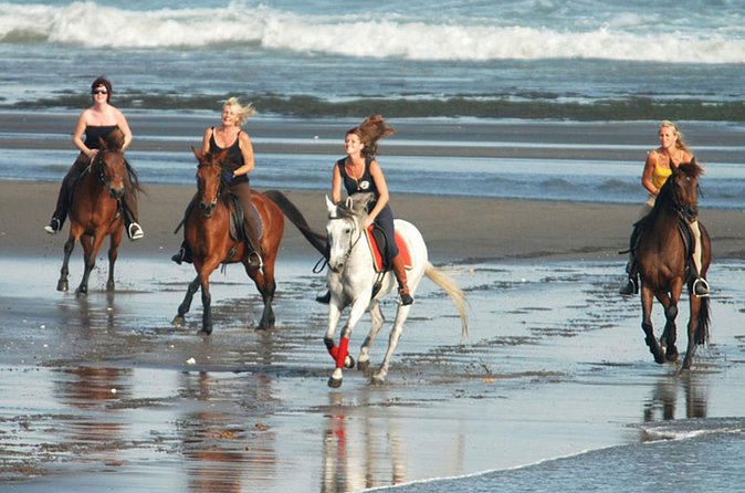 Horse Riding on the Black Sand Beach and Free Hotel Transfers - Getting ready: what happens before you mount