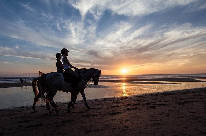 Horse Riding on the Black Sand Beach and Free Hotel Transfers - The ride along Saba Beach black sand: your photo-friendly shoreline moment