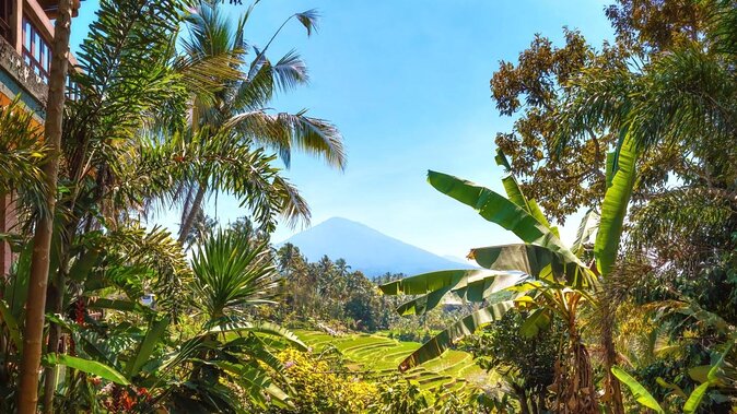 Jatiluwih Batukaru Mountain Nature's Best Tour - Key things to know before you go