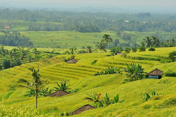 Jatiluwih Batukaru Mountain Nature's Best Tour - Pura Luhur Batukaru Temple: quiet power and sacred architecture in the forest