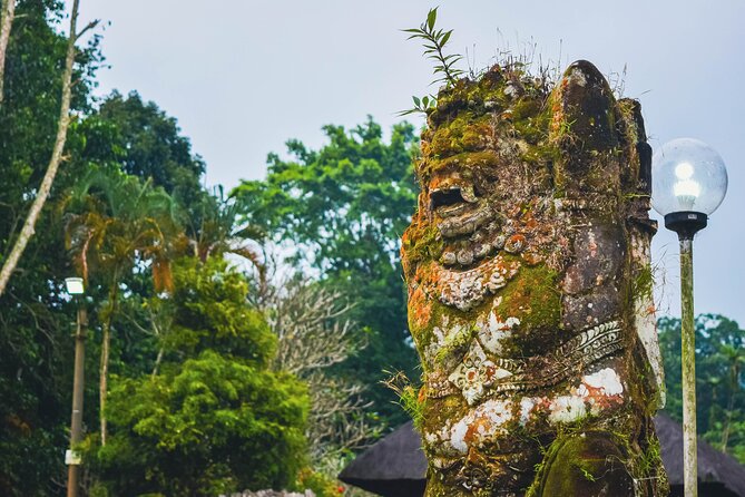 Jatiluwih Batukaru Mountain Nature's Best Tour - Price and value: what $61.54 really covers