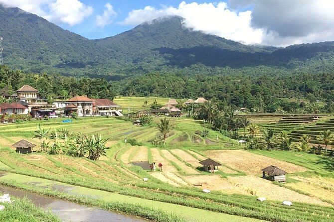 Jatiluwih Batukaru Mountain Nature's Best Tour - Who this tour is best for (and who should pick something else)