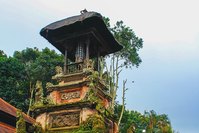Jatiluwih Batukaru Mountain Nature's Best Tour - Jatiluwih rice terraces: seeing the farming art without rushing