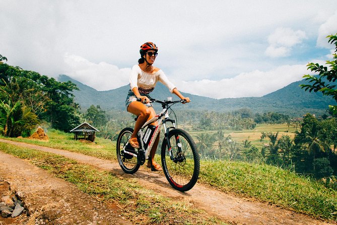 Jatiluwih in detail (1 h. e-bike tour in the rice terraces) - Key things I’d plan around