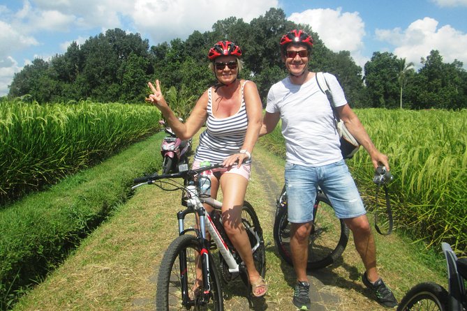 Jatiluwih in detail (1 h. e-bike tour in the rice terraces) - Jatiluwih’s best feature: it’s still a working farm
