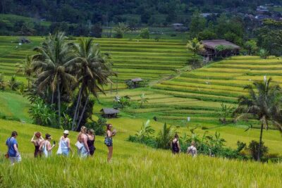 Jatiluwih Spiritual Journey of Melukat with Rice Terrace View - Price and Logistics: What Your $35.60 Really Covers