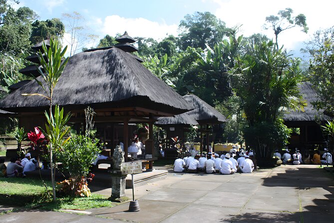 Jatiluwih VW Safari Bali Tour - Volkswagen Classic Car Trip - Stop 3: Jatiluwih rice terraces near Batukaru at 700 meters