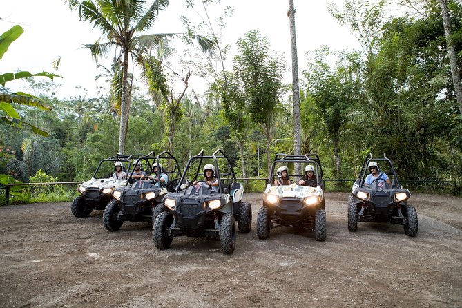 Jungle Buggy Adventure and Ubud Tour - Sacred Monkey Forest Sanctuary: Wildlife, Crowds, and Your Timing