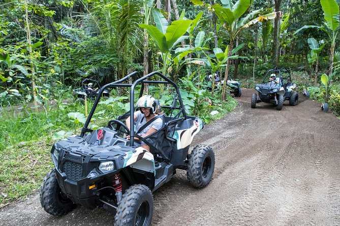 Jungle Buggy Adventure and Ubud Tour - Who Should Book This Jungle Buggy + Ubud Day?