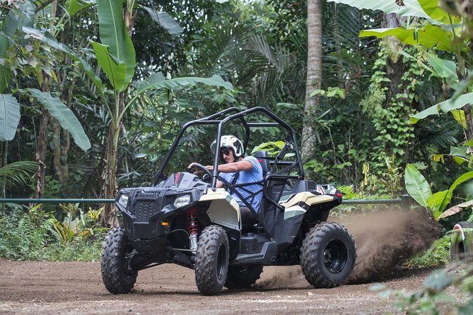 Jungle Buggy Adventure and Ubud Tour - Entering Ubud’s Classic Stops: Tegalalang Rice Terrace