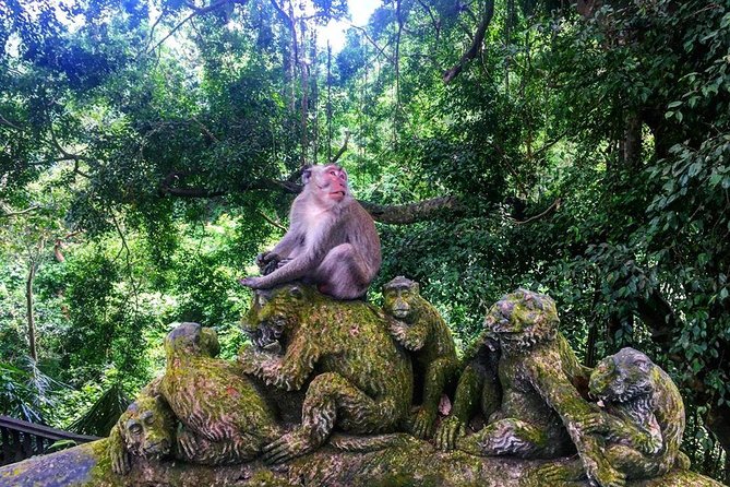 Jungle Swing - Volcano - Water Temple - Monkey Forest and Waterfall Tour - Kintamani Highland: Mount Batur and the sister lake viewpoint stop