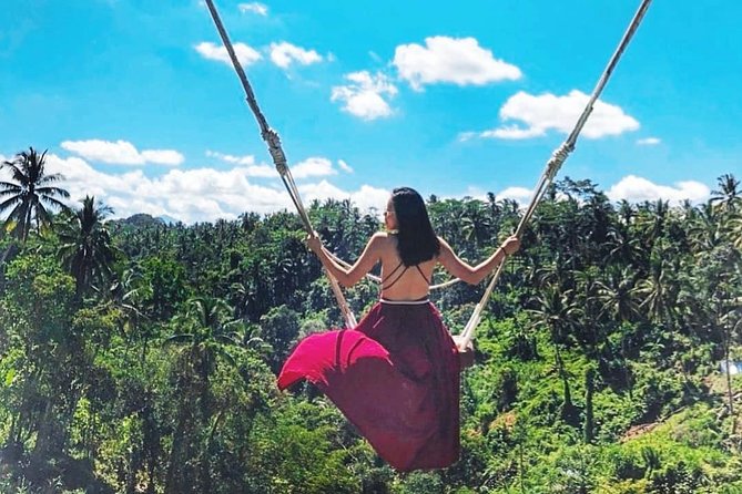 Jungle Swing - Volcano - Water Temple - Monkey Forest and Waterfall Tour - Ubud Monkey Forest Sanctuary: seeing long-tailed macaques in their home