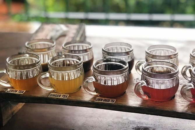 Jungle Swing - Volcano - Water Temple - Monkey Forest and Waterfall Tour - Private air-conditioned vehicle: the value of avoiding the Bali shuffle