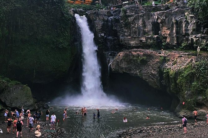 Jungle Swing - Volcano - Water Temple - Monkey Forest and Waterfall Tour - Tegenungan Waterfall: the jungle drop that’s easy to love