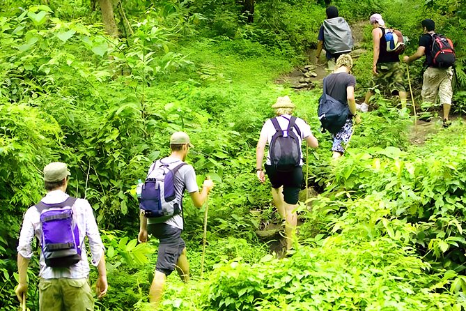 Jungle Trekking and Tamblingan Lake Canoeing in Bali Rainforest - Price and Value: Why $70 Can Make Sense Here