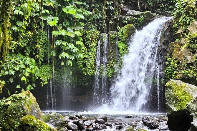 Jungle Trekking at Mt. Batukaru, scenic Waterfall & village life - Key things I’d plan around
