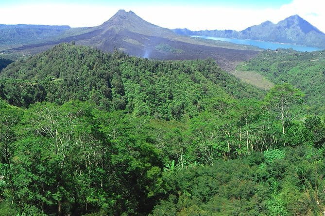 Jungle Trekking at Mt. Batukaru, scenic Waterfall & village life - Balikaru farm, stingless Trigona bees, and the hot spring