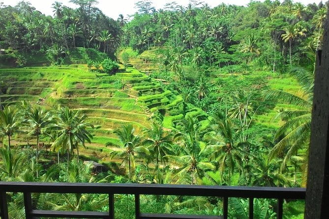 Jungle Trekking at Mt. Batukaru, scenic Waterfall & village life - Price and value: what $117 buys you in a full day