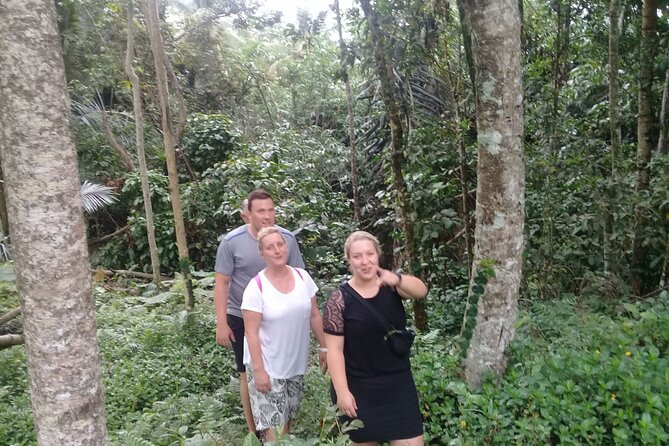 Keliki Village Tour And Rice Field Walk Including Lunch Or Dinner - Keliki’s jungle-to-rice walk feels different from busy Ubud