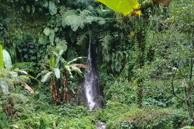 Keliki Village Tour And Rice Field Walk Including Lunch Or Dinner - Getting there smoothly: pickup, meeting point, and the walk pace