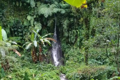 Keliki Village Tour And Rice Field Walk Including Lunch Or Dinner - Price and value: what $41 covers (and what it doesn’t)