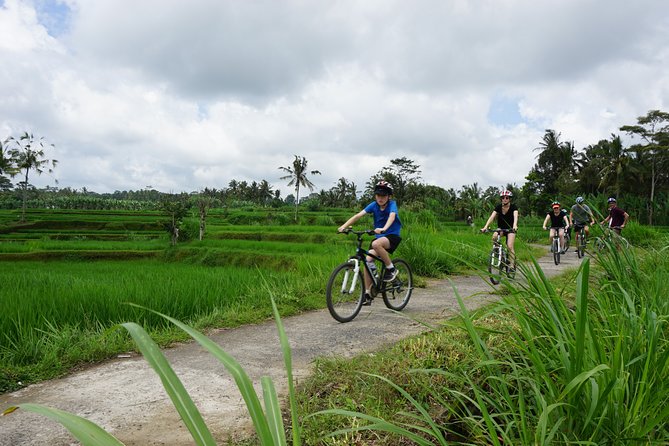 Kintamani Cultural and Nature Cycling Tour ( Manual Bike ) - Quick Key Points to Know Before You Go