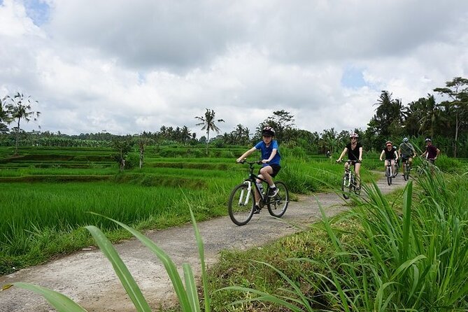 Kintamani Cultural and Nature Cycling Tour ( Manual Bike ) - Stop 2: Tegalalang Rice Terrace Quick Hits