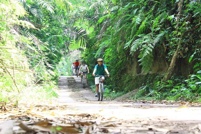 Kintamani Cultural and Nature Cycling Tour ( Manual Bike ) - Stop 5: Taro Village Coffee and Gunung Raung Temple
