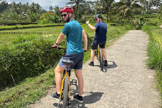 Kintamani Down Hill Cycling - Pickup, bikes, and how the day flows