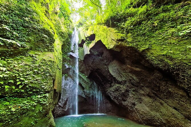 Kintamani Volcano View Tour - Tirta Empul: the cleansing ritual moment people come for