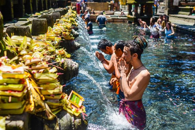 Kintamani Vulcano Tour - Tegalalang Rice Terrace: How to See Subak in Action