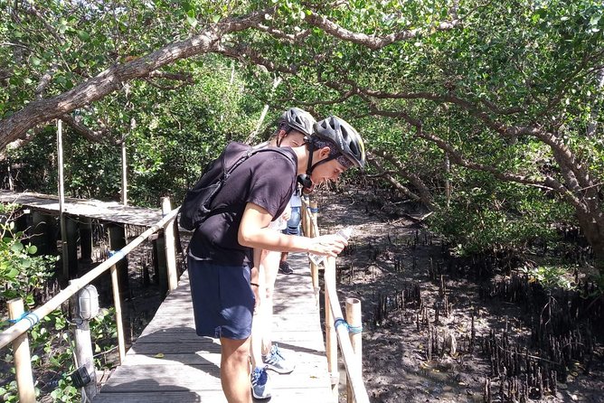 Kuta Beach eBike Private Tour - Turtle conservation: why this ride isn’t just a beach loop