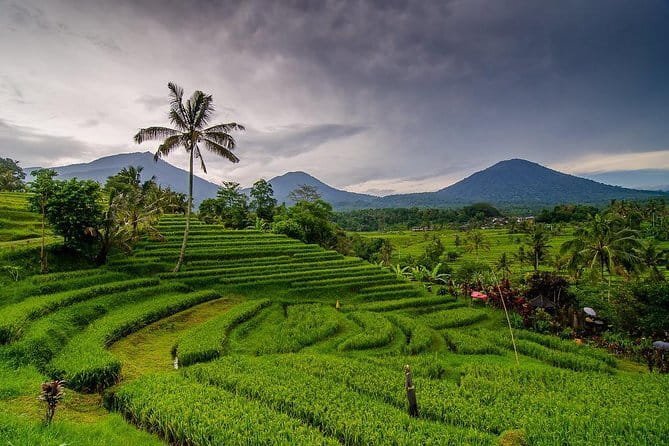 Kuta Half Day Tour - Stop 2: Upside Down World Bali for Photos and Laughs